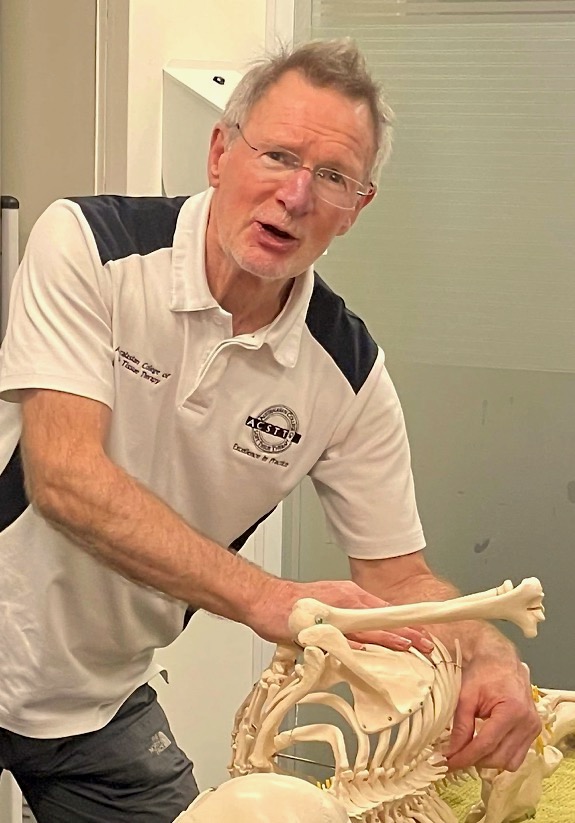 A Complete Review of the Surface Anatomy of the Upper body